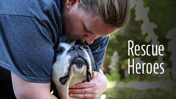 dog rescue heroes blogs